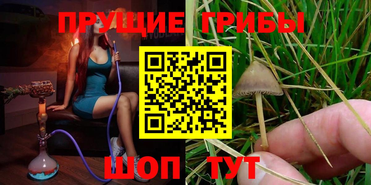 Унеча  Галлюциногенные грибы Psilocybe  Вход с VPN 