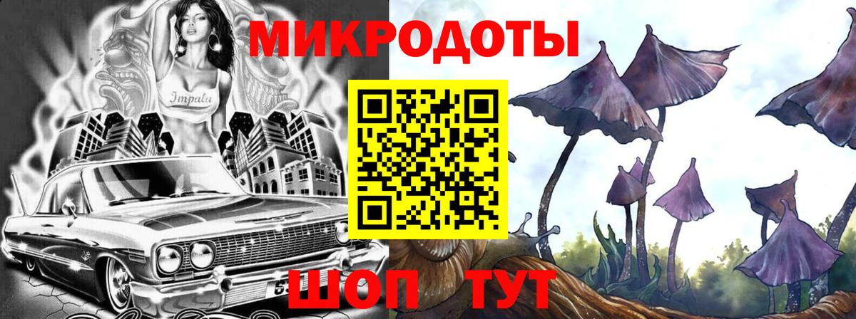Псилоцибиновые грибы мухоморы Унеча